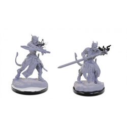 D&D Nolzur's Marvelous Miniatures: Tiefling Warlocks - EN-WZK90670