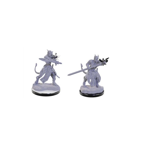 D&D Nolzur's Marvelous Miniatures: Tiefling Warlocks - EN-WZK90670