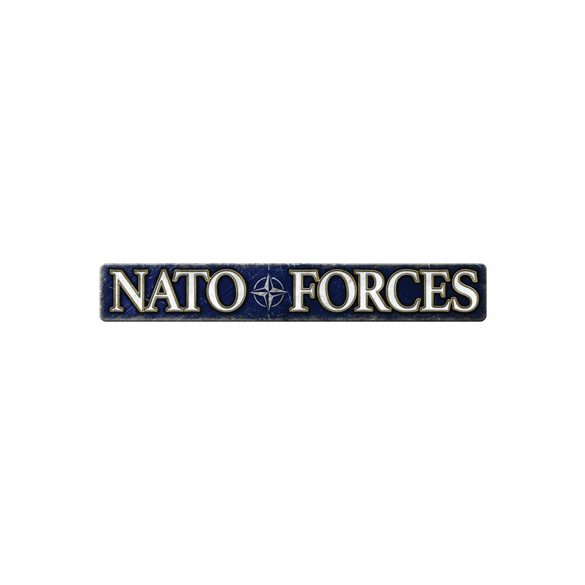 World War 3: NATO Forces - Airborne Weapons Group (x30 Figs, x4 Mortar, x4 .50cals, 2x .30cal) - EN-TCA714