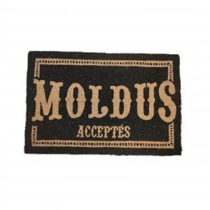 Moldus Acceptes French Doormat 60X40 Harry Potter-SDTWRN23363