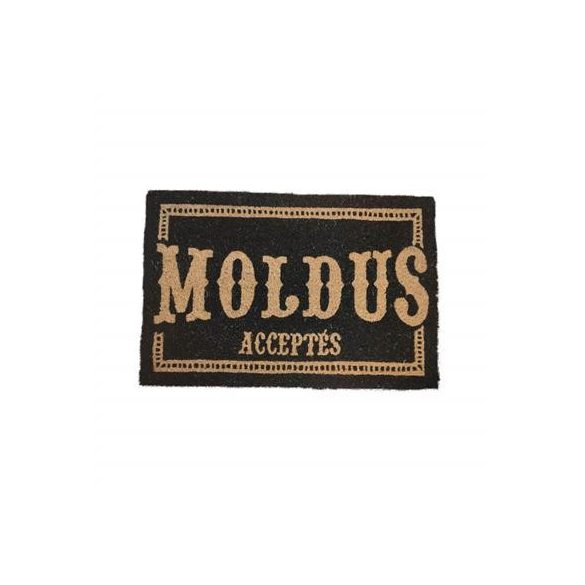 Moldus Acceptes French Doormat 60X40 Harry Potter-SDTWRN23363