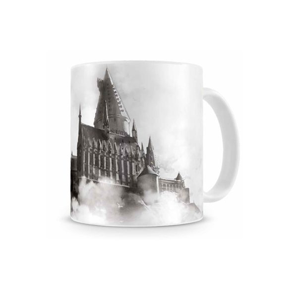 Hogwarts White Ceramic Mug Harry Potter-SDTWRN20669