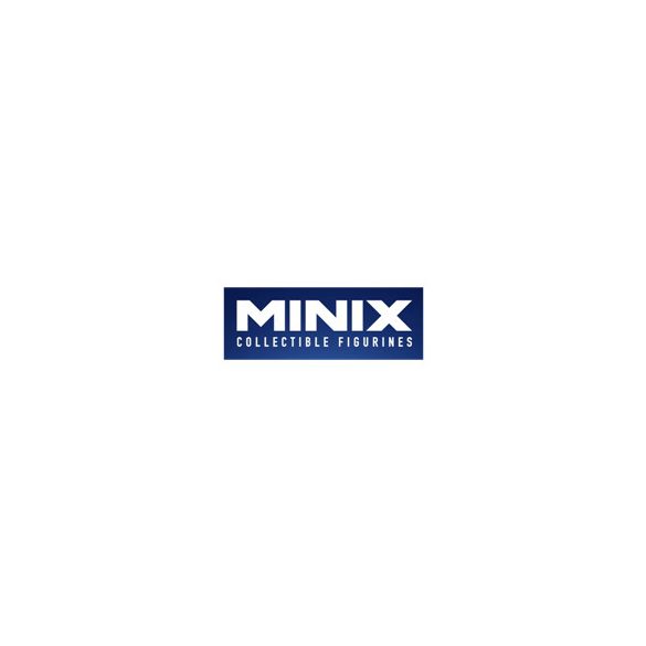 Minix Carton Display-14828