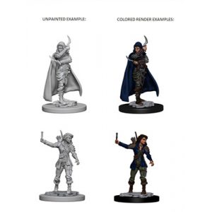 Pathfinder Deep Cuts Unpainted Miniatures - Human Female Rogue-WZK72603