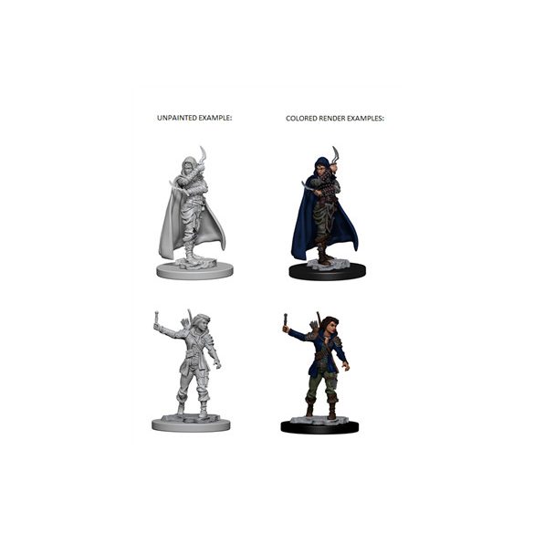 Pathfinder Deep Cuts Unpainted Miniatures - Human Female Rogue-WZK72603