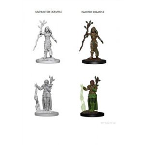 D&D Nolzur's Marvelous Miniatures - Human Female Druid-WZK72640