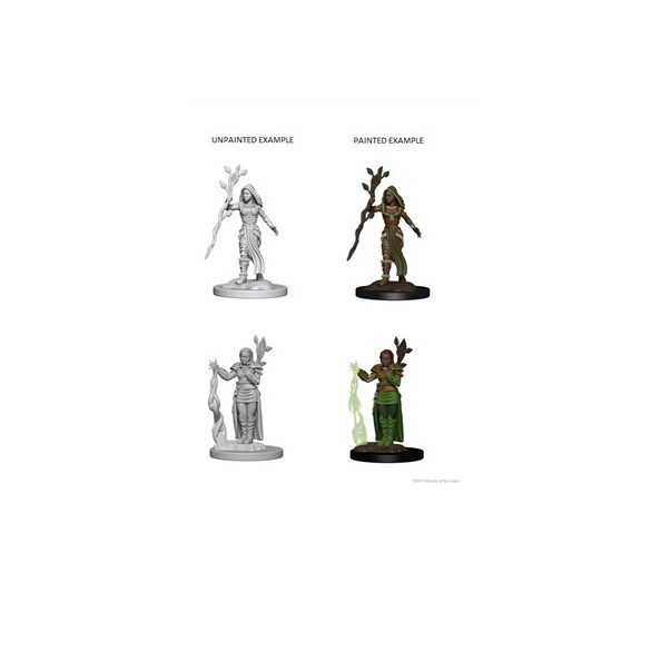 D&D Nolzur's Marvelous Miniatures - Human Female Druid-WZK72640