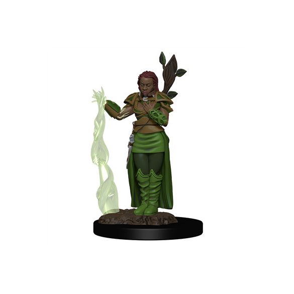 D&D Icons of the Realms Premium Figures: Human Female Druid-WZK93009