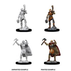 D&D Nolzur's Marvelous Miniatures - Female Human Barbarian-WZK90056