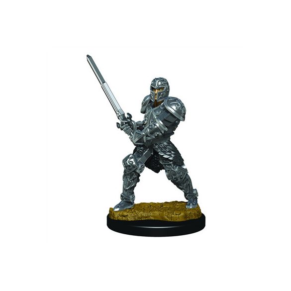 D&D Icons of the Realms Premium Figures: Male Human Fighter-WZK93017