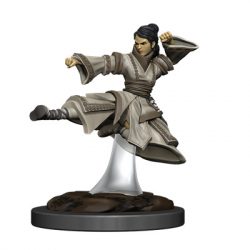D&D Icons of the Realms Premium Figures: Human Monk Female-WZK93044