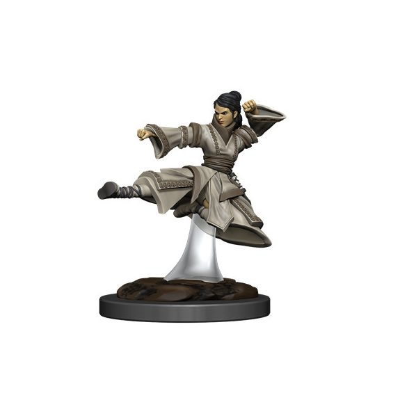 D&D Icons of the Realms Premium Figures: Human Monk Female-WZK93044