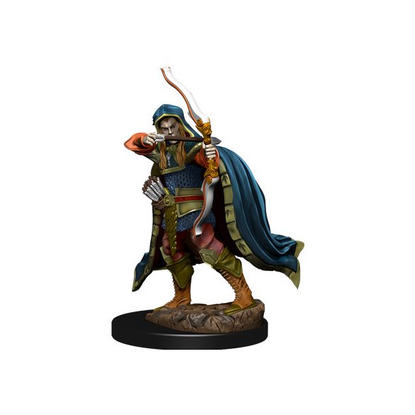 D&D Icons of the Realms Premium Figures: Elf Rogue Male-WZK93048