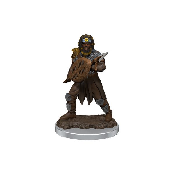D&D Icons of the Realms Premium Figures: Male Human Fighter-WZK93059