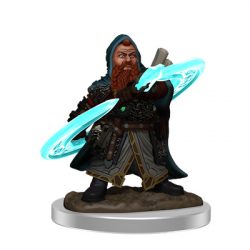 Pathfinder Painted Premium: Male Dwarf Sorcerer-WZK77515