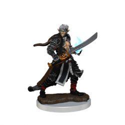 Pathfinder Painted Premium: Male Elf Magus-WZK77517