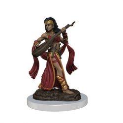 Pathfinder Painted Premium: Female Human Bard-WZK77518