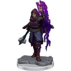 D&D Nolzur's Marvelous Miniatures: Half-Elf Warlock  - EN-WZK90410