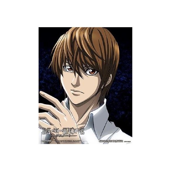 Death Note - Light Ryuk Split - 26x20 3D Rahmenbild-MER828