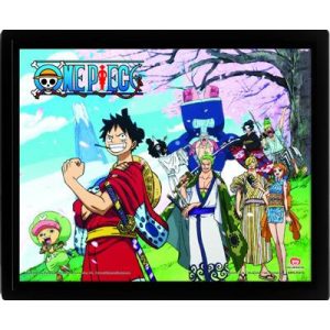 One Piece - Samurai Pirate Warriors - 26x20 3D Rahmenbild-ARU039