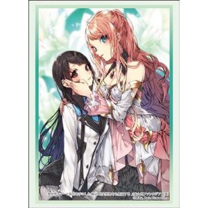 Bushiroad Sleeve Collection HG Vol.4440 Fujimi Fantasia Bunko (75 Sleeves)-248152