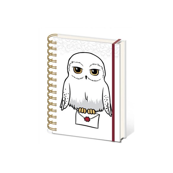 Harry Potter (Special Delivery) A5 Wiro Notebook-SR74526