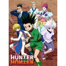 Hunter X Hunter 500 Teile-12001279