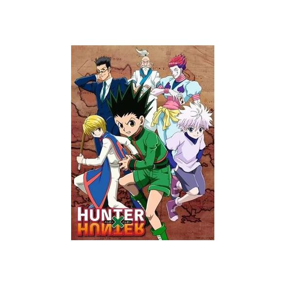 Hunter X Hunter 500 Teile-12001279