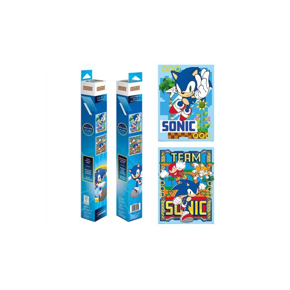 Sonic The Hedgehog (Sonic & Team) Boxed Poster Set-PPB35404