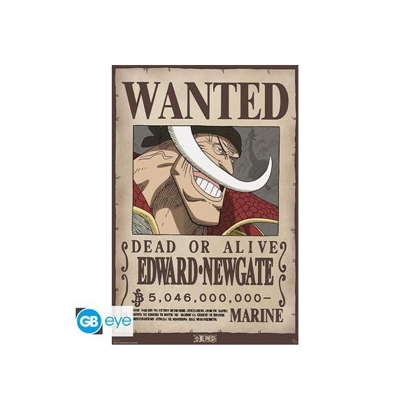 ONE PIECE - Poster Maxi 91.5x61 - Wanted Whitebeard-GBYDCO596