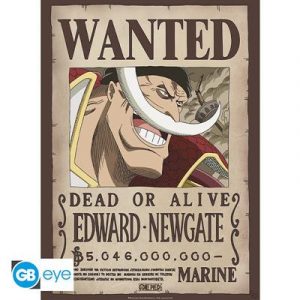 ONE PIECE - Poster Chibi 52x38 - Wanted Whitebeard-GBYDCO263