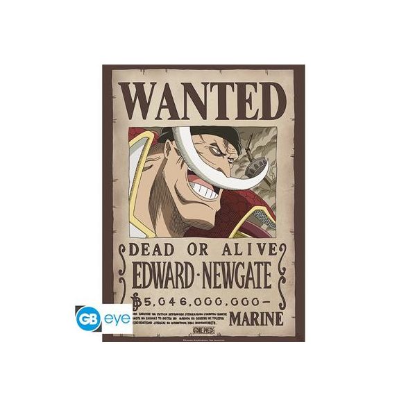 ONE PIECE - Poster Chibi 52x38 - Wanted Whitebeard-GBYDCO263