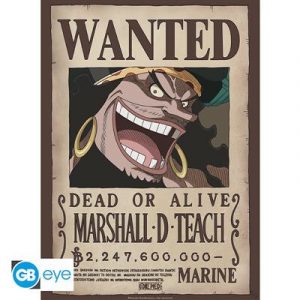 ONE PIECE - Poster Chibi 52x38 - Wanted Blackbeard-GBYDCO267