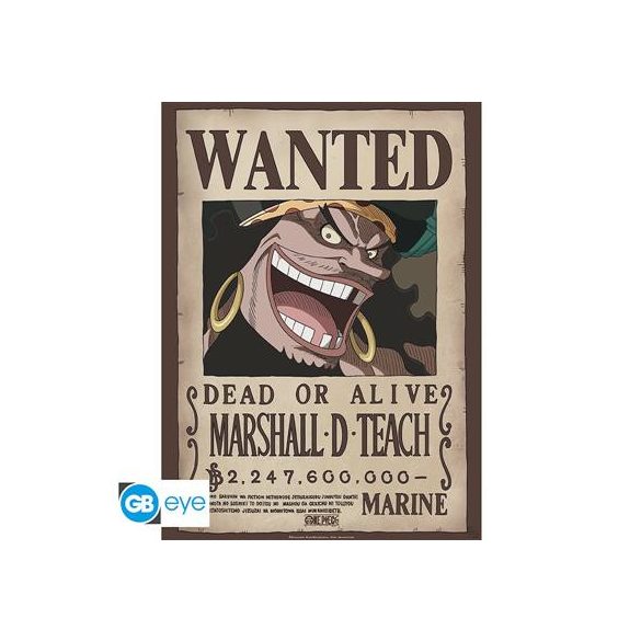 ONE PIECE - Poster Chibi 52x38 - Wanted Blackbeard-GBYDCO267