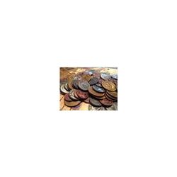 Viticulture Metal Lira Coins-STM304