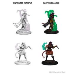 D&D Nolzur's Marvelous Miniatures - Tiefling Female Sorcerer-WZK73202