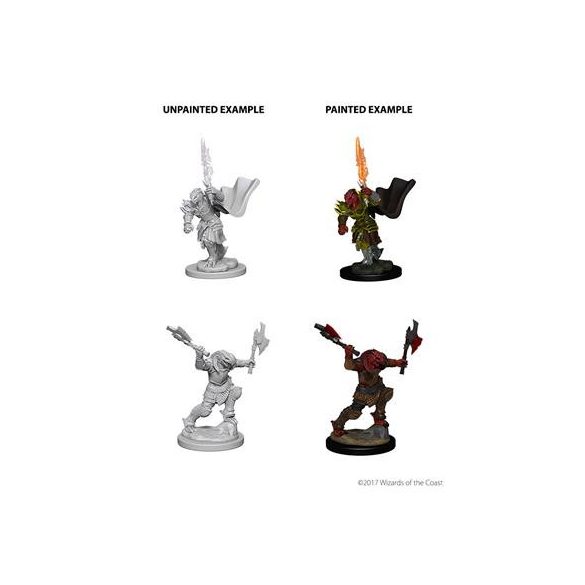 D&D Nolzur's Marvelous Miniatures - Dragonborn Female Fighter-WZK73199