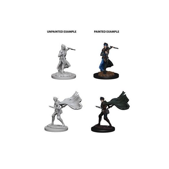 Pathfinder Deep Cuts Unpainted Miniatures - Elf Female Rogue-WZK73187