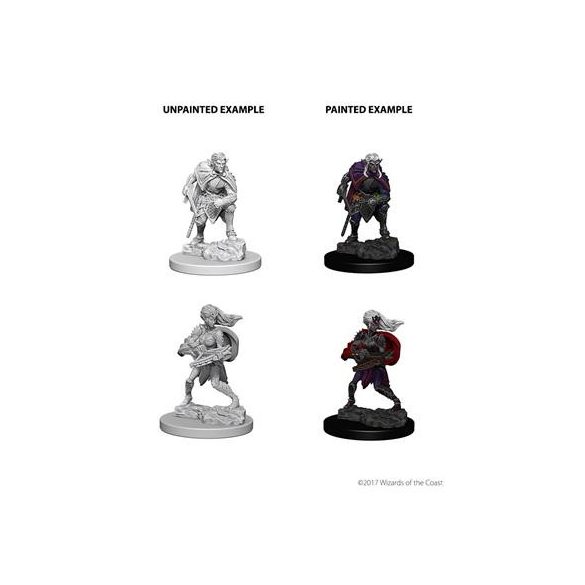 D&D Nolzur's Marvelous Miniatures - Drow-WZK73189