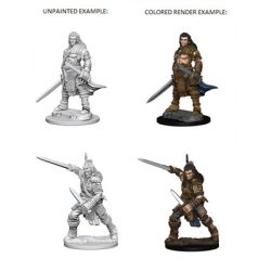 Pathfinder Deep Cuts Unpainted Miniatures - Human Male Fighter-WZK72596