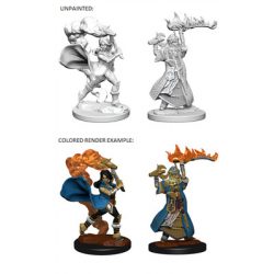 Pathfinder Deep Cuts Unpainted Miniatures - Human Female Cleric-WZK72601