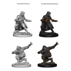 Pathfinder Deep Cuts Unpainted Miniatures - Human Male Rogue-WZK72602