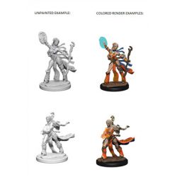 Pathfinder Deep Cuts Unpainted Miniatures - Human Female Sorcerer-WZK72604