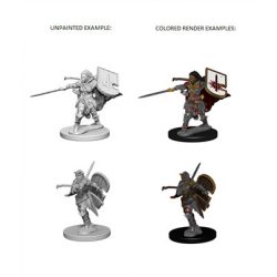 Pathfinder Deep Cuts Unpainted Miniatures - Human Female Paladin-WZK72607