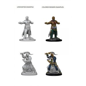 Pathfinder Deep Cuts Unpainted Miniatures - Human Male Monk-WZK72612