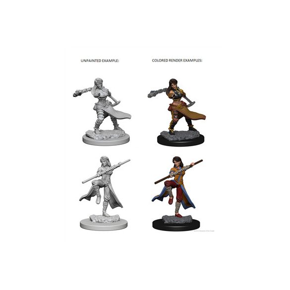 D&D Nolzur’s Marvelous Miniatures: Human Female Monk - EN-WZK72634