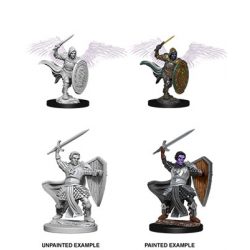 D&D Nolzur's Marvelous Miniatures - Aasimar Male Paladin-WZK73342