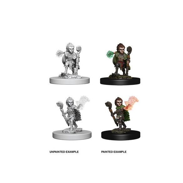 Pathfinder Deep Cuts Unpainted Miniatures - Gnome Male Druid-WZK73346