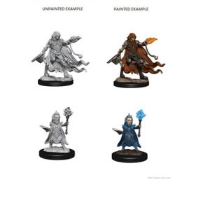 Pathfinder Deep Cuts Unpainted Miniatures - Evil Wizards-WZK72586