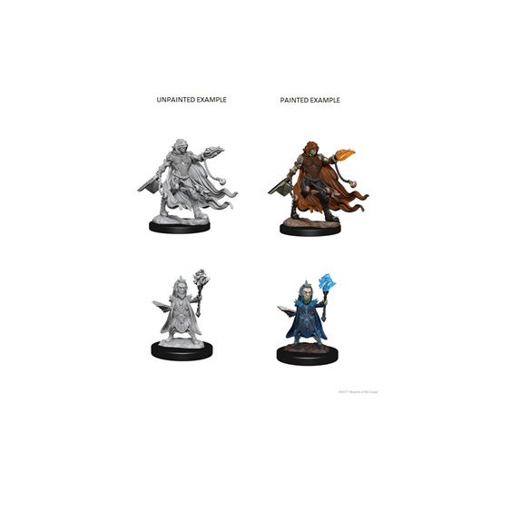 Pathfinder Deep Cuts Unpainted Miniatures - Evil Wizards-WZK72586